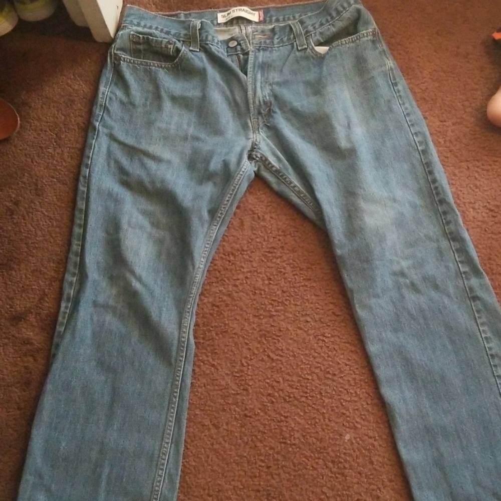 Mens levis